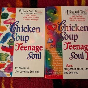 Chicken Soup For The Teenage Soul One And Two